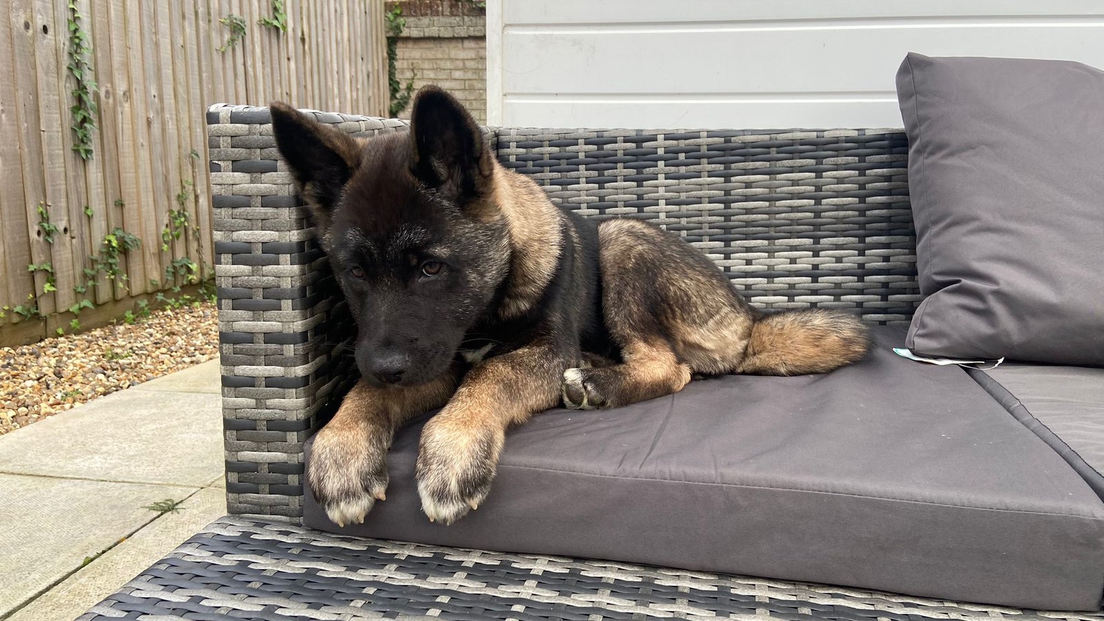 WhatsApp Image 2024-12-18 at 20.36.25