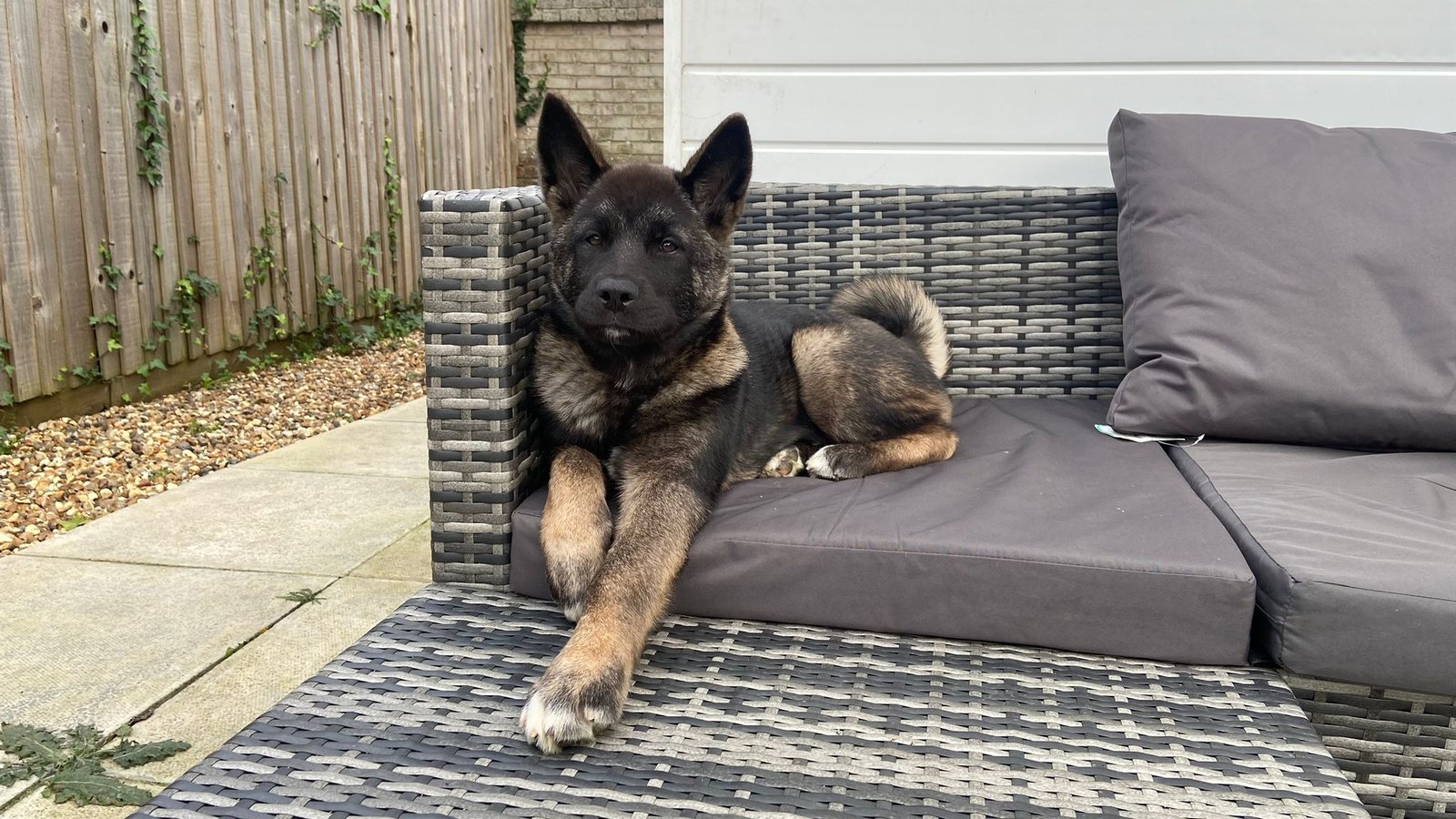 WhatsApp Image 2024-12-18 at 20.36.26 (1)