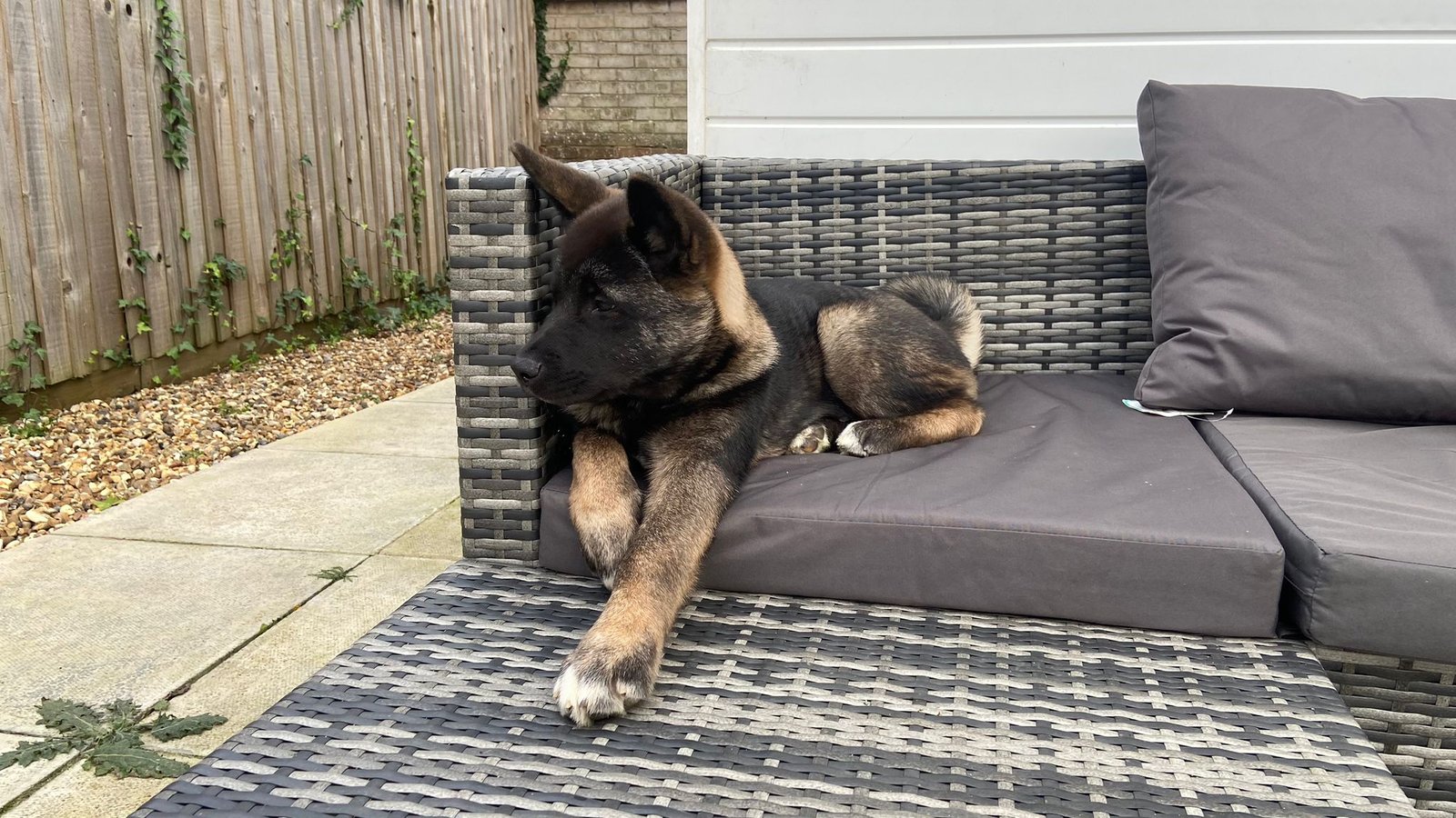 WhatsApp Image 2024-12-18 at 20.36.26