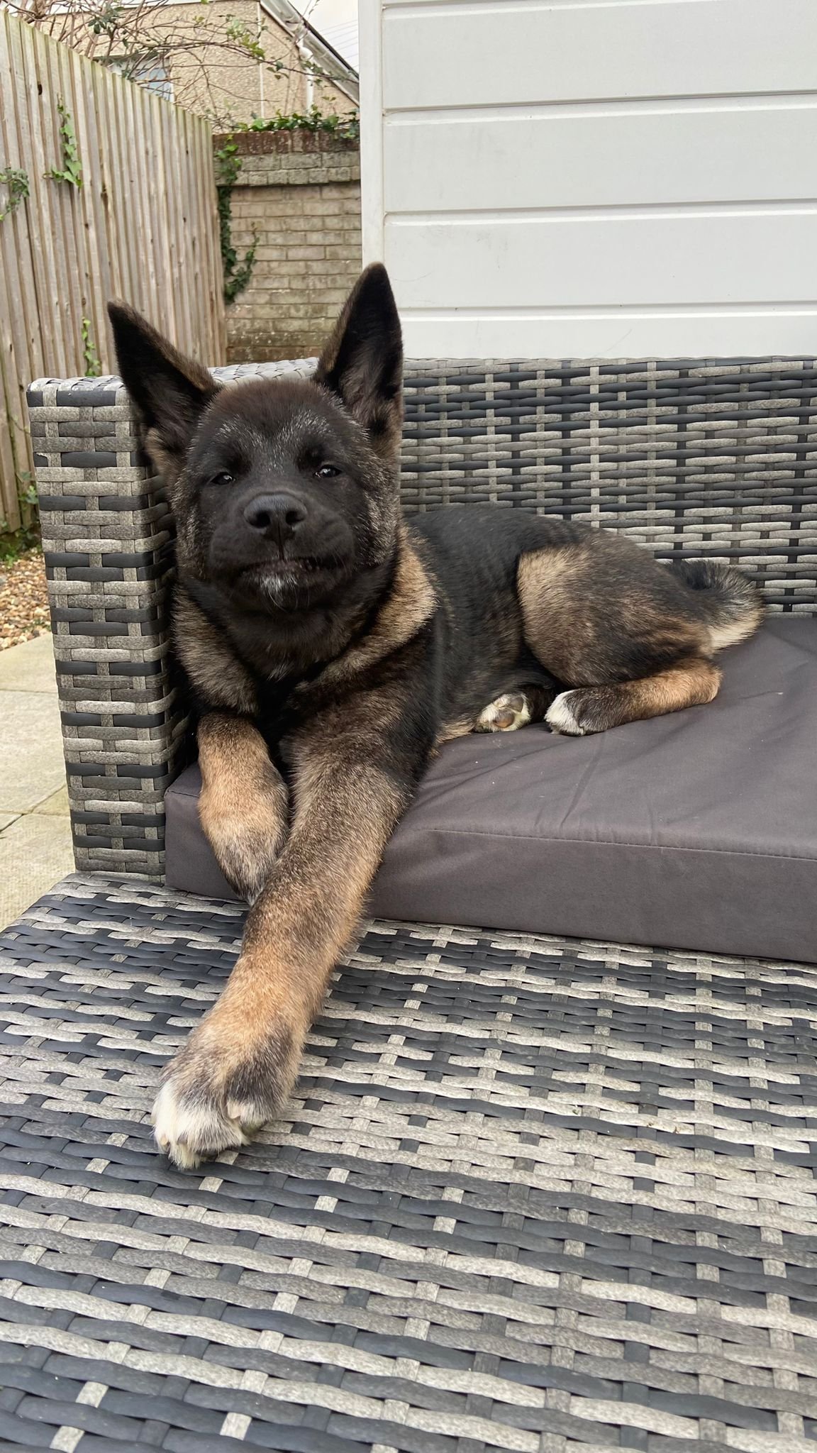 WhatsApp Image 2024-12-18 at 20.36.27 (1)