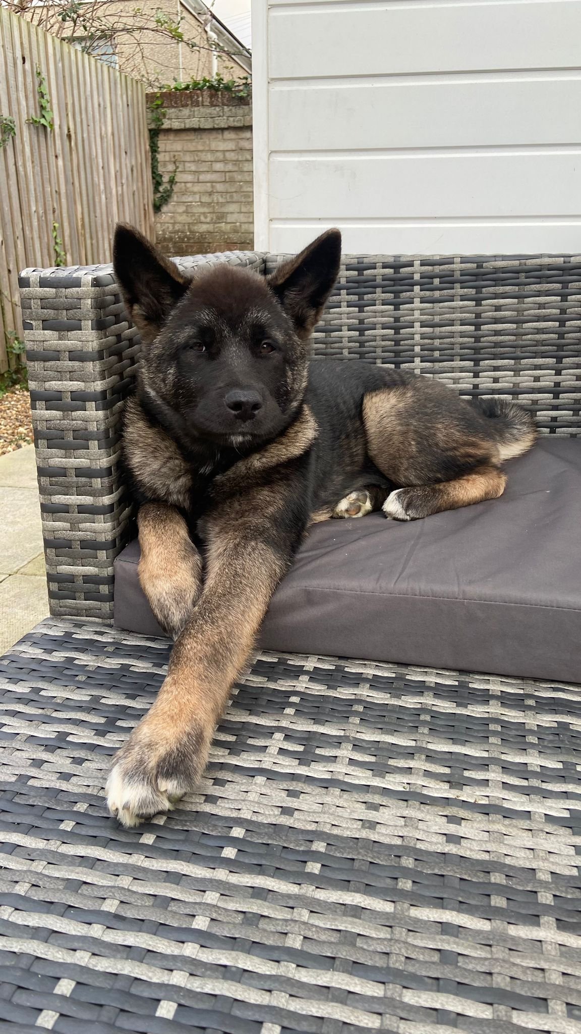 WhatsApp Image 2024-12-18 at 20.36.27