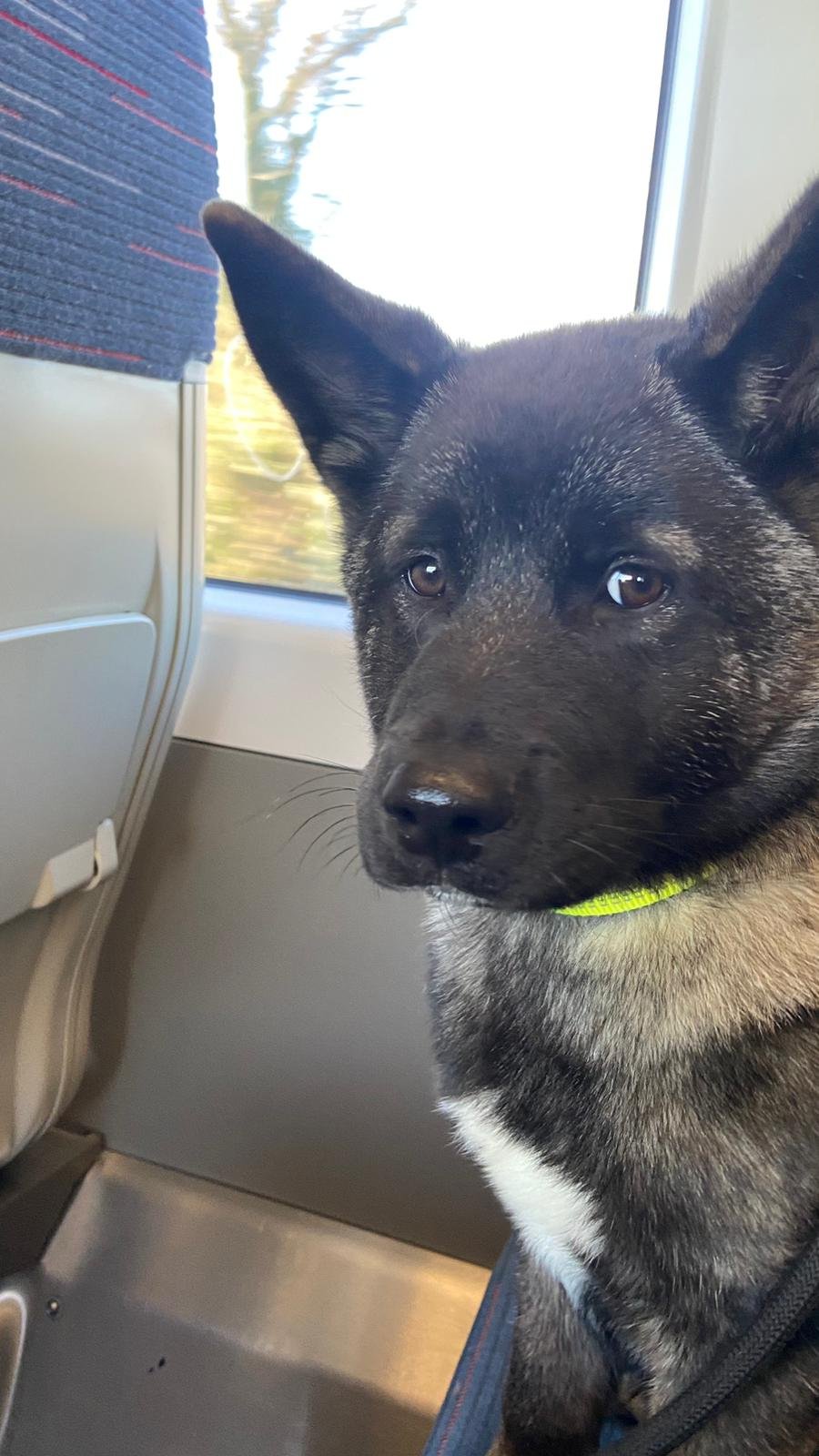 WhatsApp Image 2025-01-06 at 06.38.43