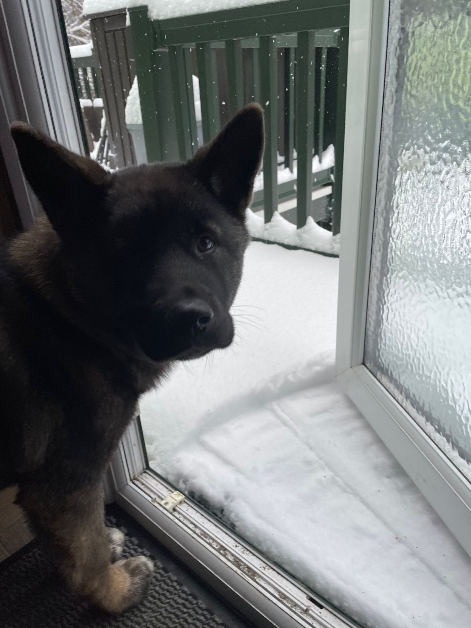 WhatsApp Image 2025-01-06 at 07.05.17