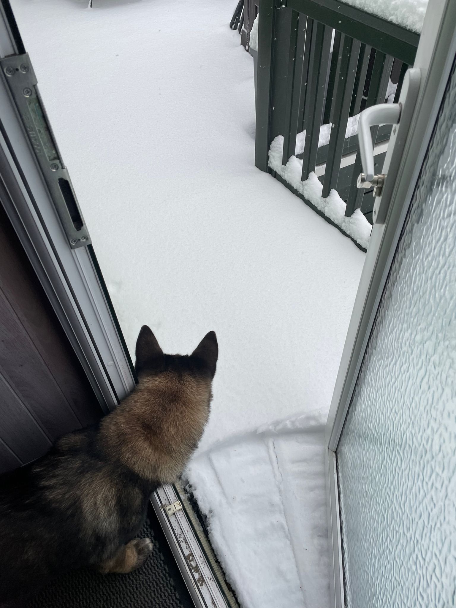 WhatsApp Image 2025-01-06 at 07.12.57