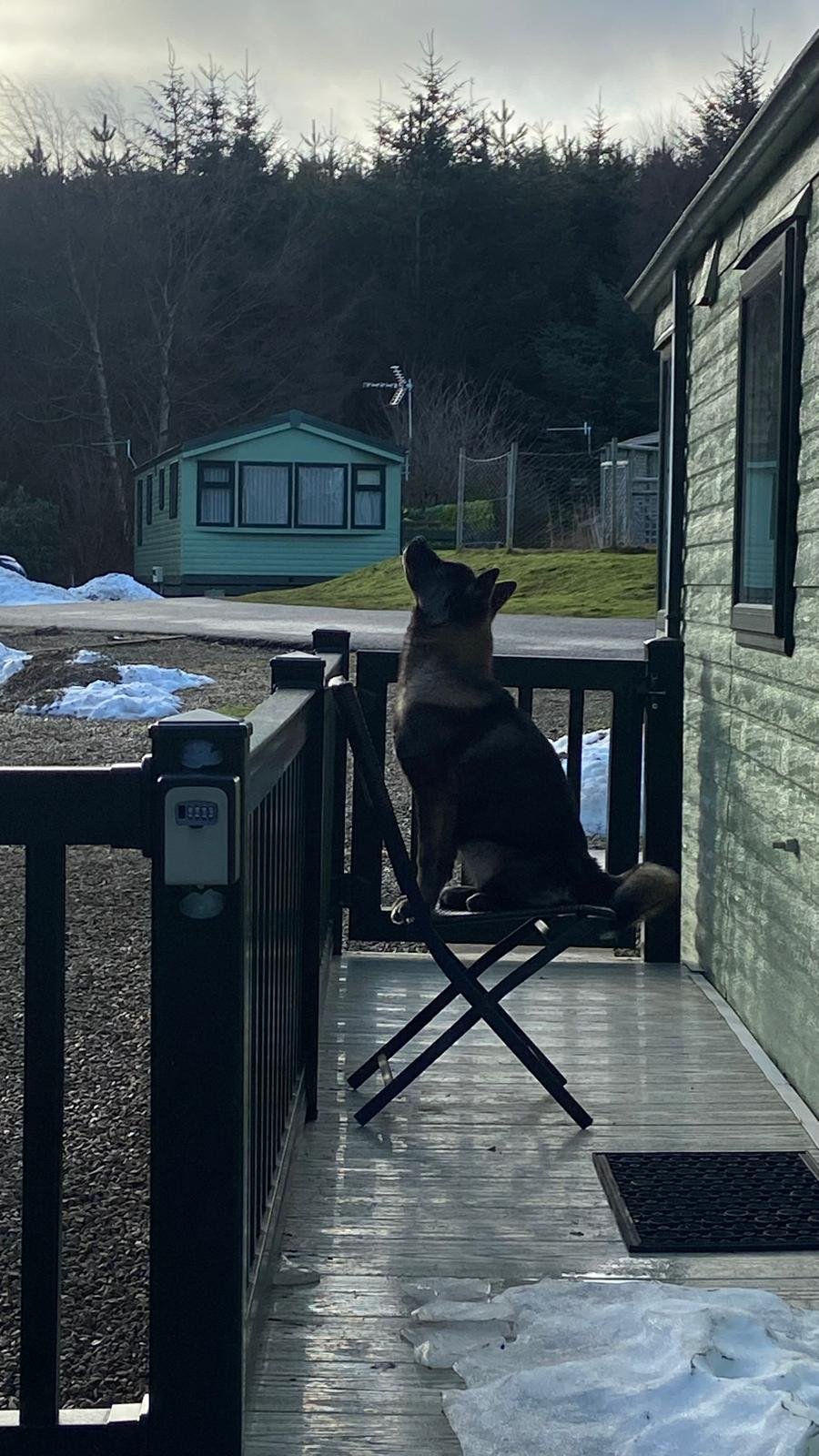 WhatsApp Image 2025-02-13 at 12.13.18 (1)