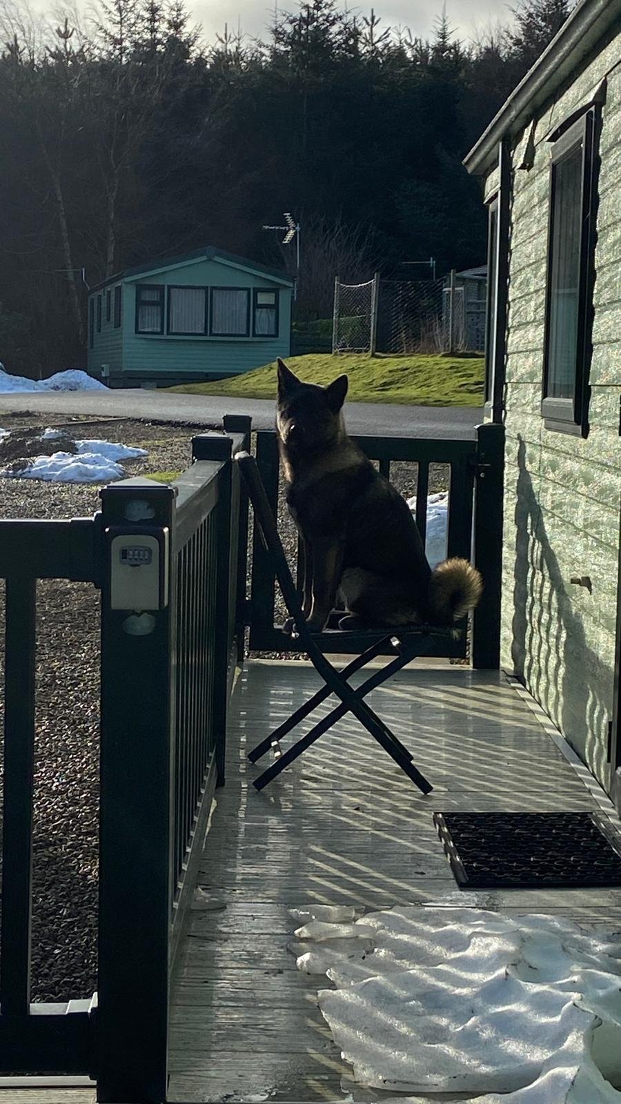 WhatsApp Image 2025-02-13 at 12.13.18