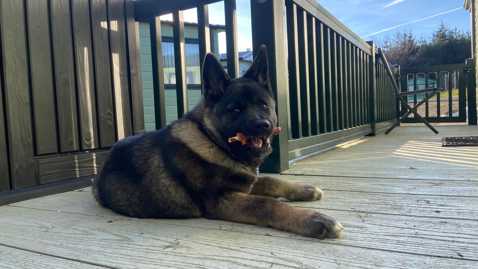 WhatsApp Image 2025-02-13 at 12.17.02 (1)