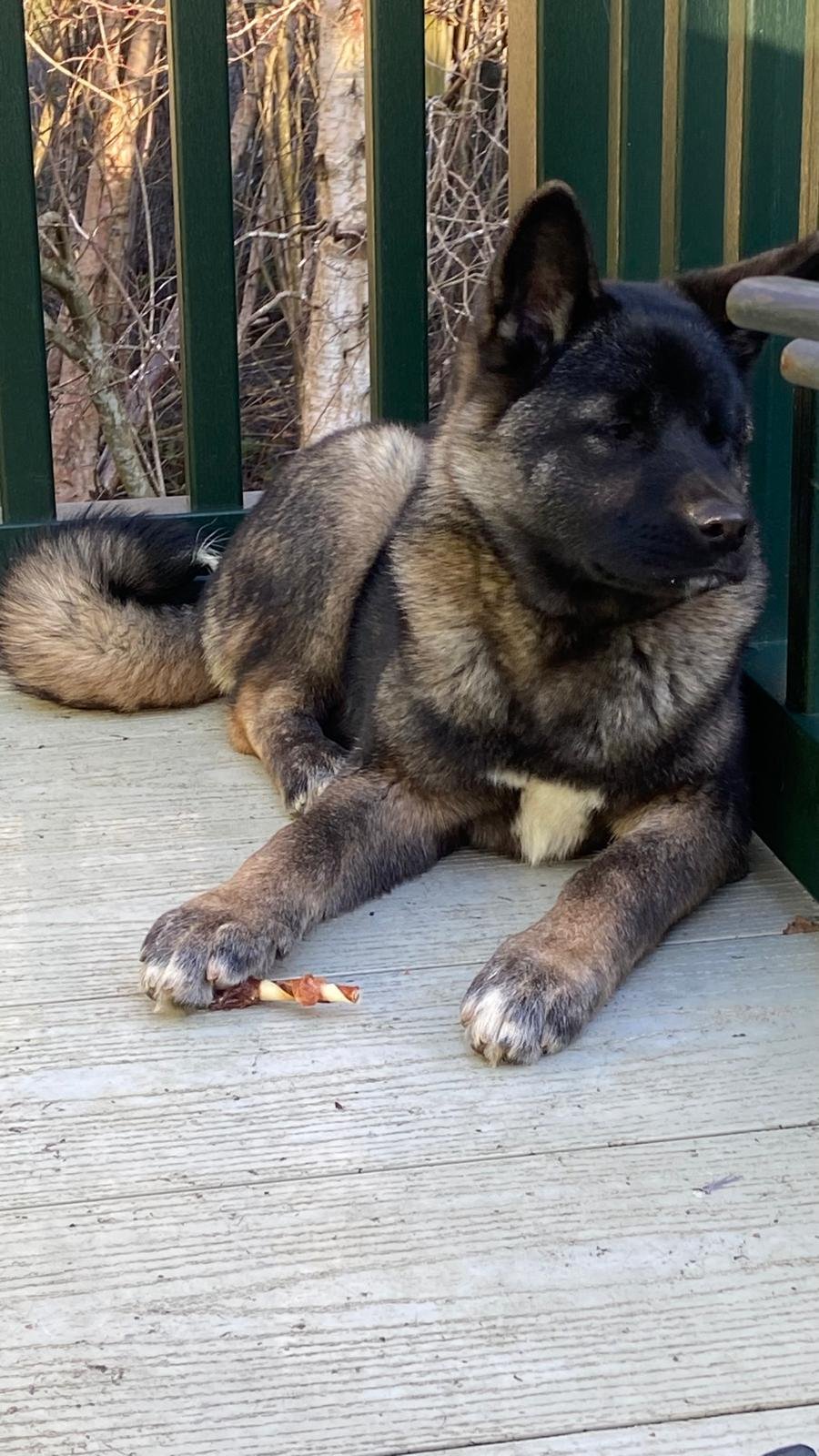 WhatsApp Image 2025-02-13 at 12.17.02